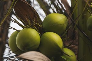 Three Reasons You Should Buy Organic Coconut Sugar